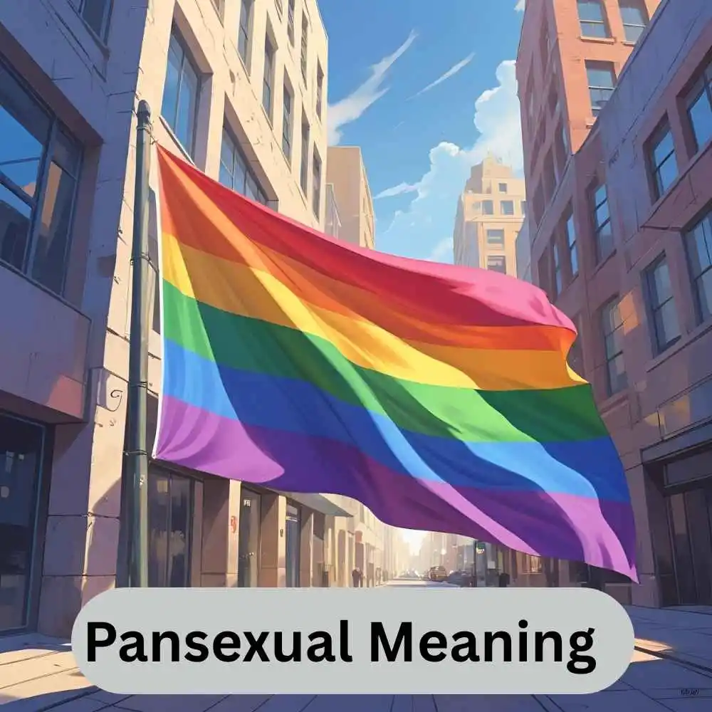 Pansexual in 2025