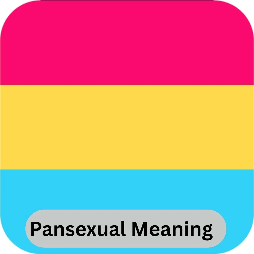 Understanding Pansexual Matters